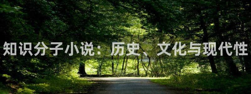 书旗极速：知识分子小说：历史、文化与现代性