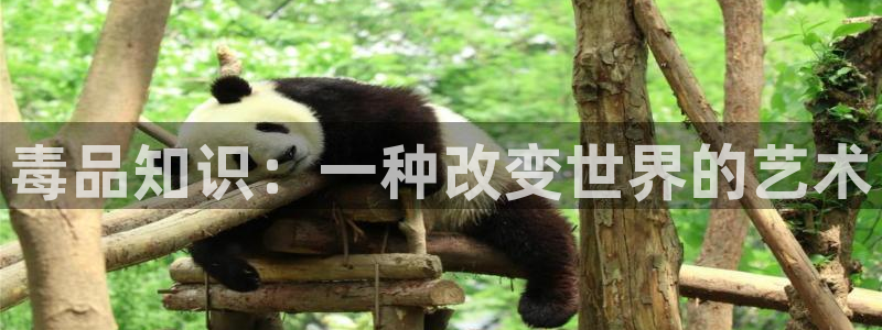 书旗流量怎么样：毒品知识：一种改变世界的艺术