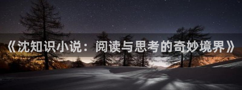 书旗要钱吗：《沈知识小说：阅读与思考的奇妙境界》