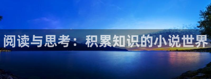 书旗免费小说app：阅读与思考：积累知识的小说世界